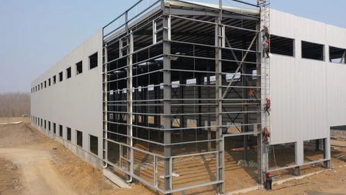 优质服务助推工业强镇发展，招大引强积蓄新动能