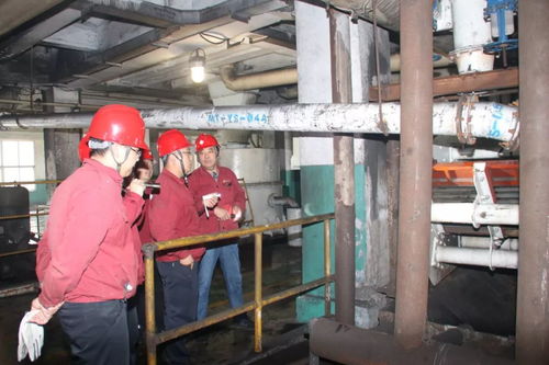 马头洗选厂提前完成全年生产任务，技术推广助力高效发展